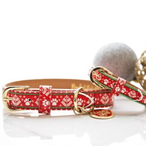 Pawfect Pals Sleigh In It Collar